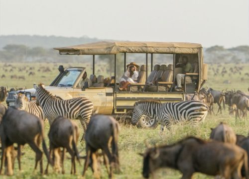 Great Migration in Tanzania:2025/2025 Ultimate Planning Guide and Key Considerations