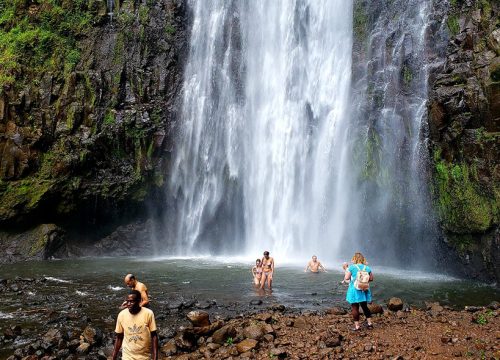 Materuni Waterfall and Coffee Farm Tour
