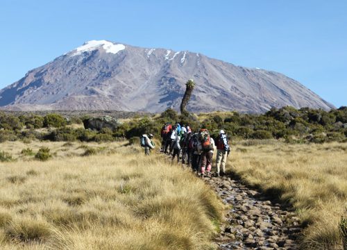 Machame Route 7 Days | Kilimanjaro Climbing