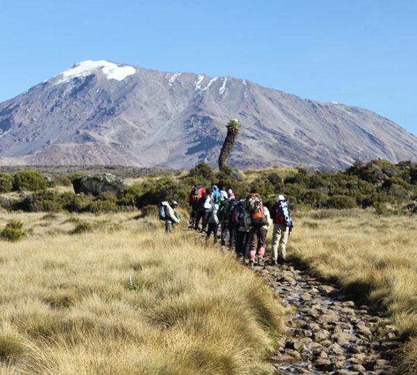 7-Day Machame Route Kilimanjaro Climbing