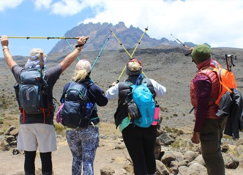 Northern Circuit Route 9 Days | Kilimanjaro Climbing
