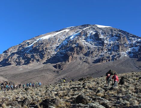 Rongai Route 7 Days | Kilimanjaro Climbing