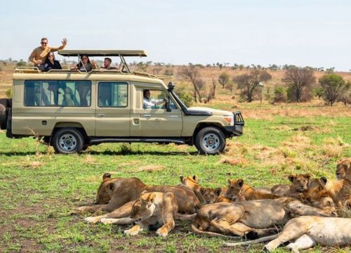 Tanzania Family Safari: Creating Magical Memories Together