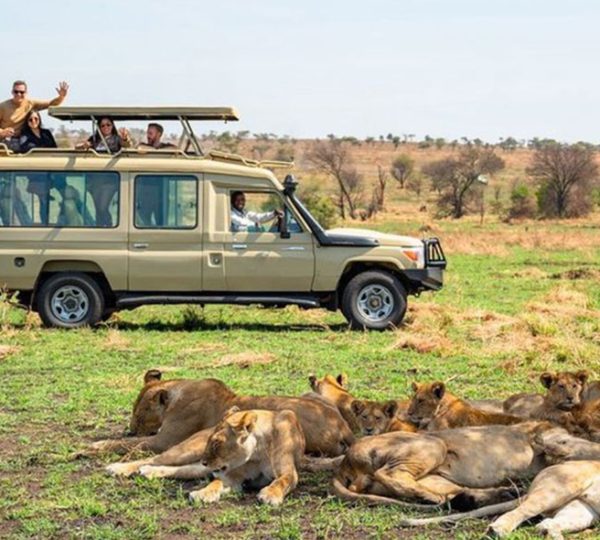Tanzania Family Safari: Creating Magical Memories Together