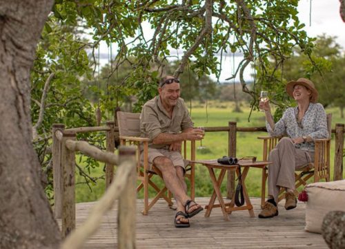 Tanzania Midrange/Luxury Safari 4 Days